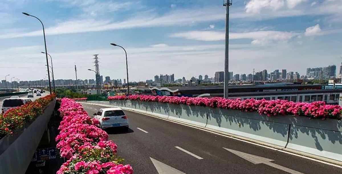 环城南路快速路高架桥桥面绿化美化综合整治工程
