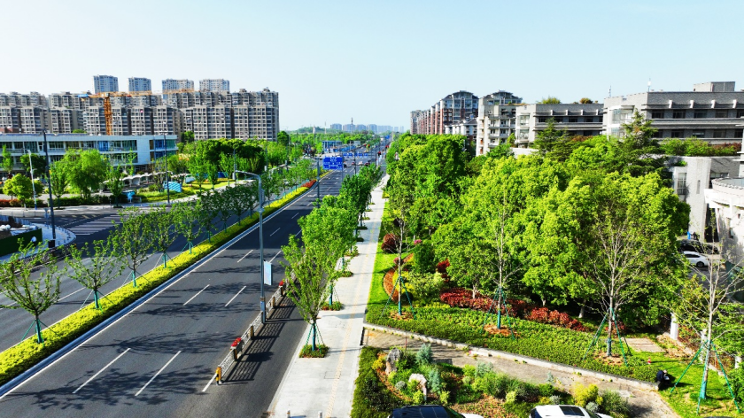 金钟路（宝化路-南山路段）改扩建工程（Ⅱ标段）